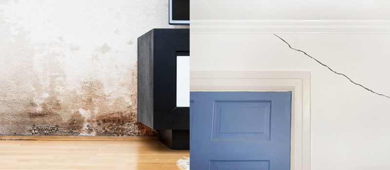 Content image for Home Improvement Myths You Should Ignore